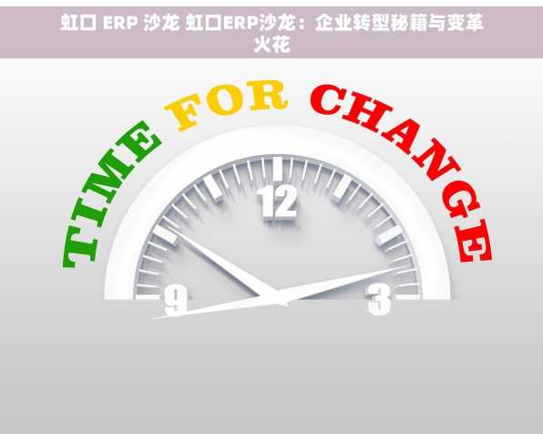 虹口 ERP 沙龙 虹口ERP沙龙：企业转型秘籍与变革火花