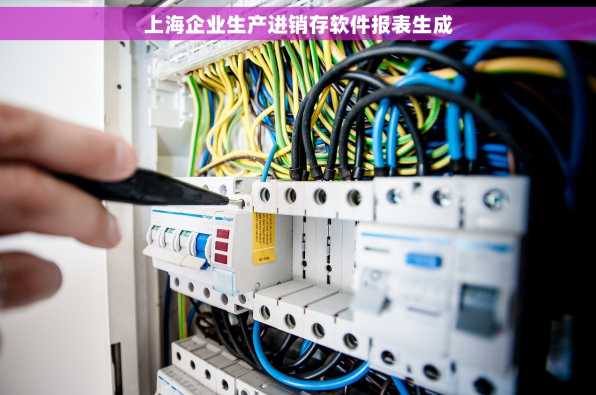 上海企业生产进销存软件报表生成
