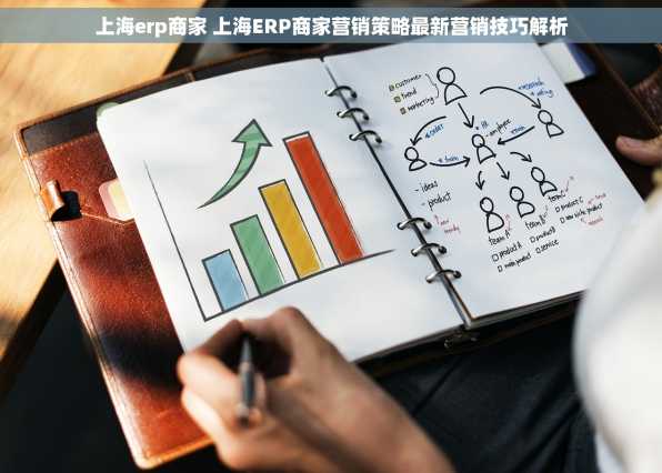 上海erp商家 上海ERP商家营销策略最新营销技巧解析