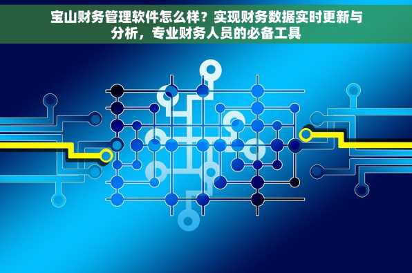 宝山财务管理软件怎么样？实现财务数据实时更新与分析，专业财务人员的必备工具