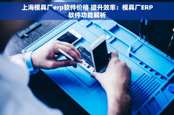 上海模具厂erp软件价格 提升效率：模具厂ERP软件功能解析