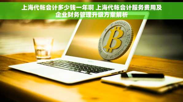 上海代帐会计多少钱一年啊 上海代帐会计服务费用及企业财务管理升级方案解析