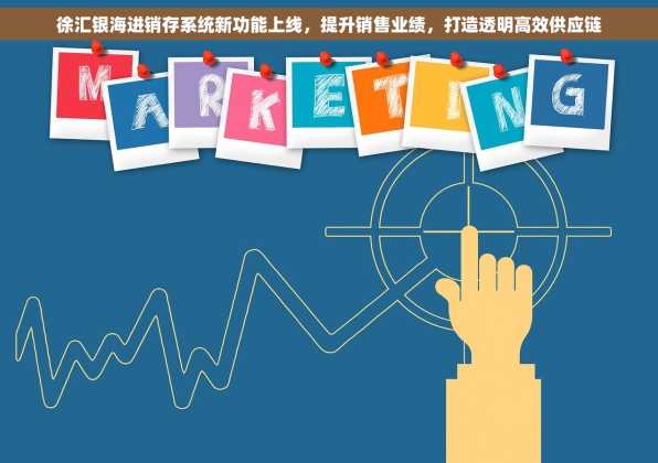 徐汇银海进销存系统新功能上线，提升销售业绩，打造透明高效供应链