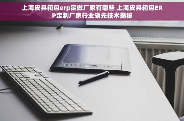上海皮具箱包erp定做厂家有哪些 上海皮具箱包ERP定制厂家行业领先技术揭秘