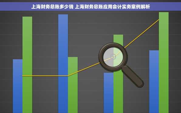 上海财务总账多少钱 上海财务总账应用会计实务案例解析