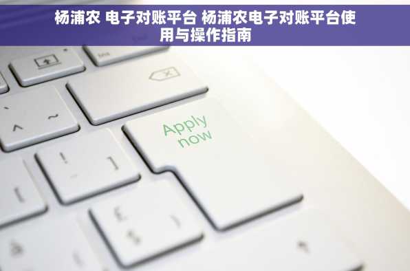 杨浦农 电子对账平台 杨浦农电子对账平台使用与操作指南