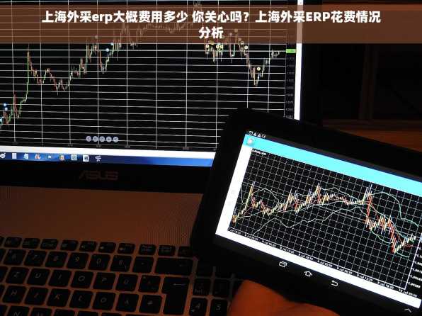 上海外采erp大概费用多少 你关心吗？上海外采ERP花费情况分析