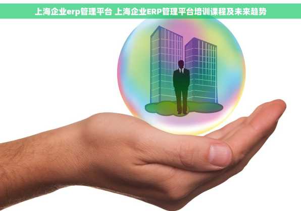 上海企业erp管理平台 上海企业ERP管理平台培训课程及未来趋势