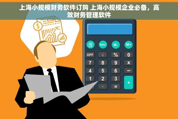 上海小规模财务软件订购 上海小规模企业必备，高效财务管理软件