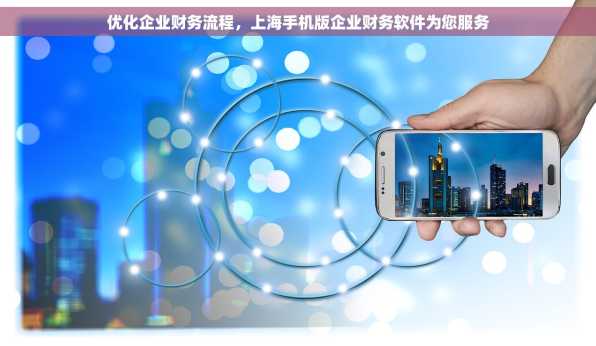 优化企业财务流程，上海手机版企业财务软件为您服务