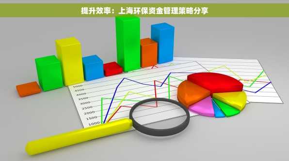 提升效率：上海环保资金管理策略分享