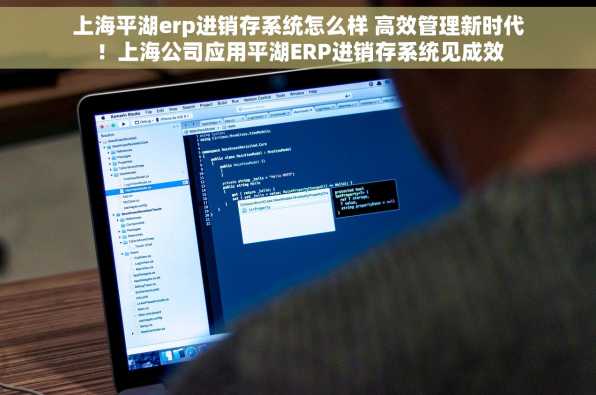上海平湖erp进销存系统怎么样 高效管理新时代！上海公司应用平湖ERP进销存系统见成效