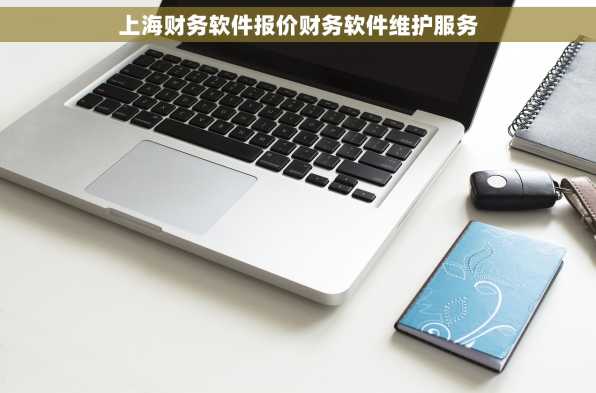 上海财务软件报价财务软件维护服务