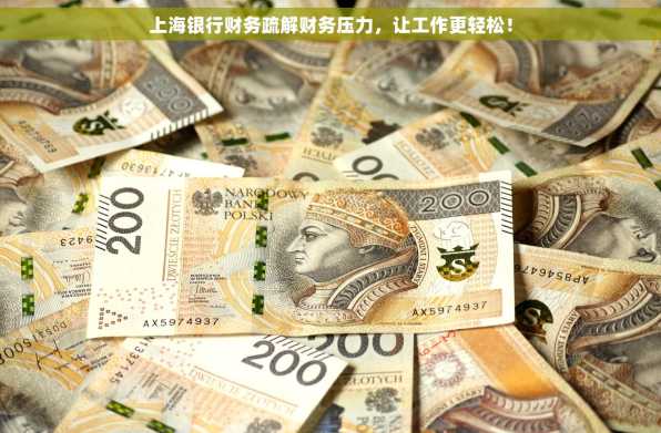 上海银行财务疏解财务压力，让工作更轻松！