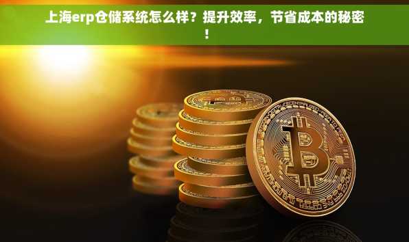 上海erp仓储系统怎么样？提升效率，节省成本的秘密！