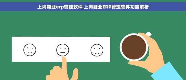 上海鞋业erp管理软件 上海鞋业ERP管理软件功能解析