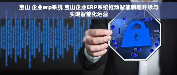 宝山 企业erp系统 宝山企业ERP系统推动智能制造升级与实现智能化运营