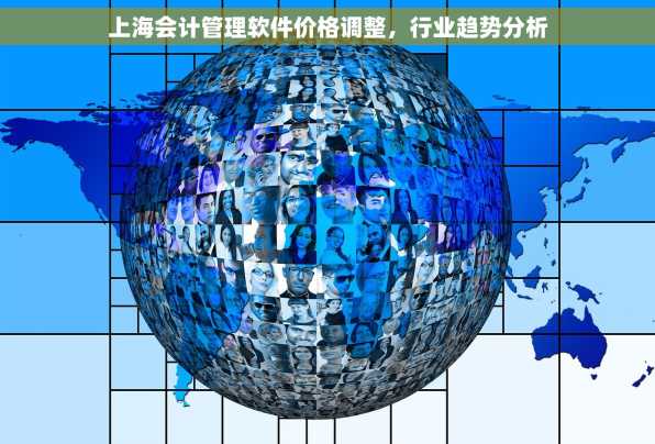 上海会计管理软件价格调整，行业趋势分析