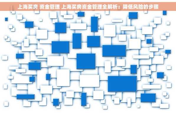 上海买房 资金管理 上海买房资金管理全解析：降低风险的步骤