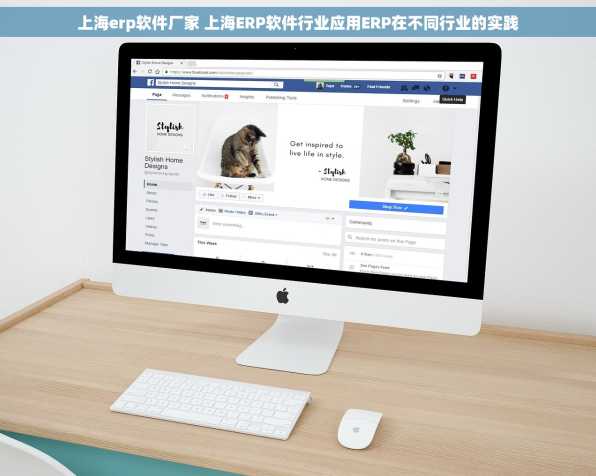 上海erp软件厂家 上海ERP软件行业应用ERP在不同行业的实践