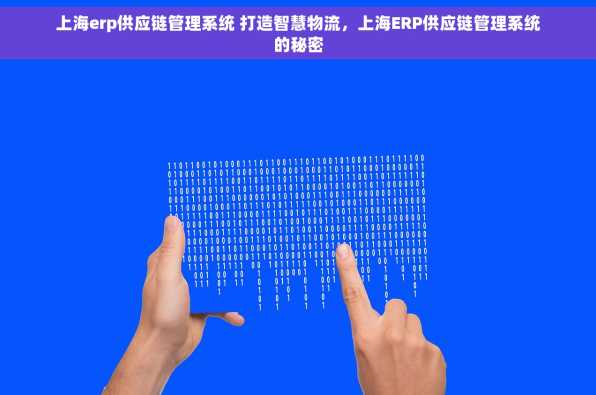 上海erp供应链管理系统 打造智慧物流，上海ERP供应链管理系统的秘密