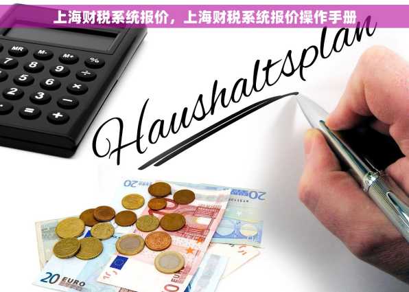 上海财税系统报价，上海财税系统报价操作手册