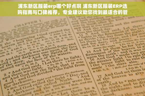 浦东新区服装erp哪个好点啊 浦东新区服装ERP选购指南与口碑推荐，专业建议助您找到最适合的管理工具