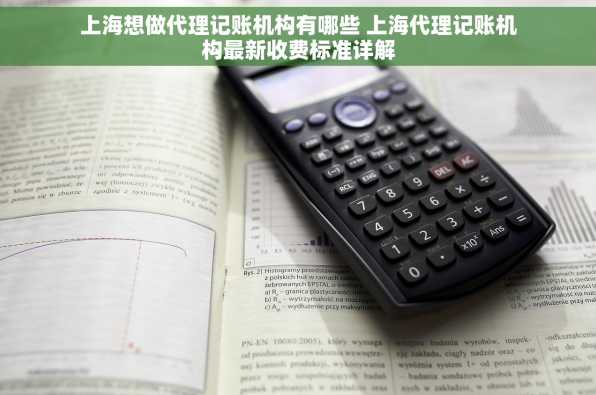 上海想做代理记账机构有哪些 上海代理记账机构最新收费标准详解