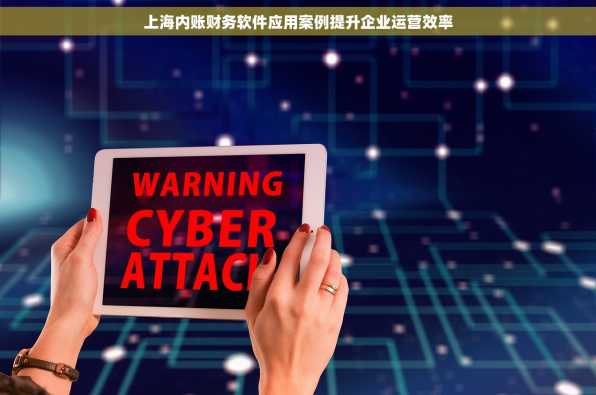 上海内账财务软件应用案例提升企业运营效率