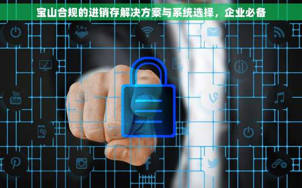 宝山合规的进销存解决方案与系统选择，企业必备