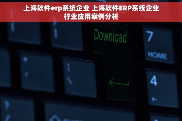 上海软件erp系统企业 上海软件ERP系统企业行业应用案例分析