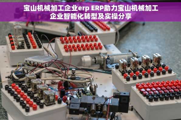 宝山机械加工企业erp ERP助力宝山机械加工企业智能化转型及实操分享