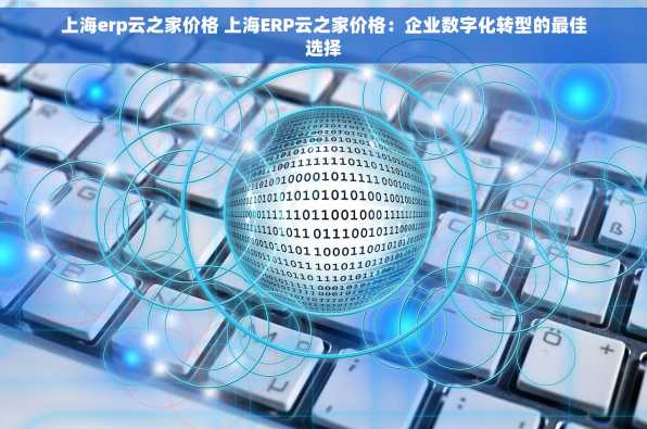 上海erp云之家价格 上海ERP云之家价格：企业数字化转型的最佳选择