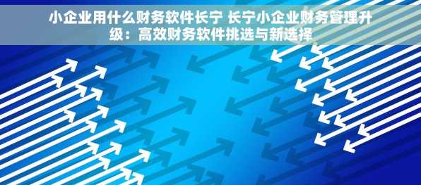 小企业用什么财务软件长宁 长宁小企业财务管理升级：高效财务软件挑选与新选择