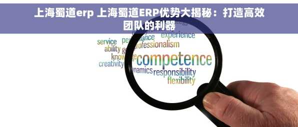 上海蜀道erp 上海蜀道ERP优势大揭秘：打造高效团队的利器