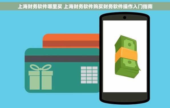 上海财务软件哪里买 上海财务软件购买财务软件操作入门指南