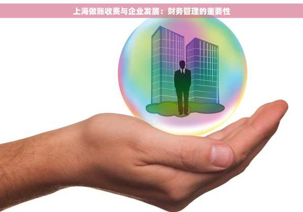 上海做账收费与企业发展：财务管理的重要性