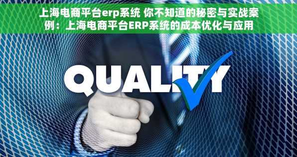 上海电商平台erp系统 你不知道的秘密与实战案例：上海电商平台ERP系统的成本优化与应用