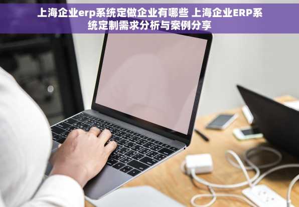 上海企业erp系统定做企业有哪些 上海企业ERP系统定制需求分析与案例分享