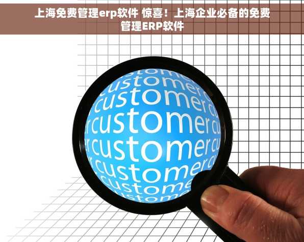 上海免费管理erp软件 惊喜！上海企业必备的免费管理ERP软件