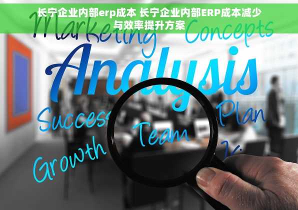 长宁企业内部erp成本 长宁企业内部ERP成本减少与效率提升方案