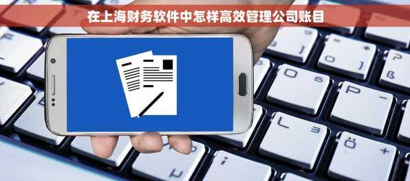 在上海财务软件中怎样高效管理公司账目