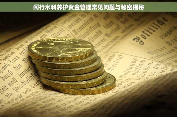 闽行水利养护资金管理常见问题与秘密揭秘