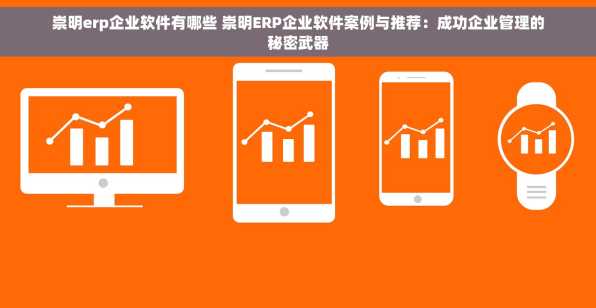 崇明erp企业软件有哪些 崇明ERP企业软件案例与推荐：成功企业管理的秘密武器