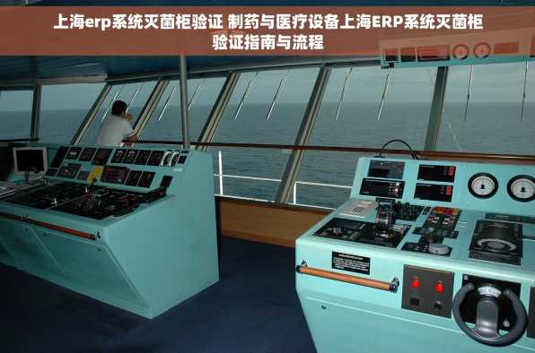上海erp系统灭菌柜验证 制药与医疗设备上海ERP系统灭菌柜验证指南与流程