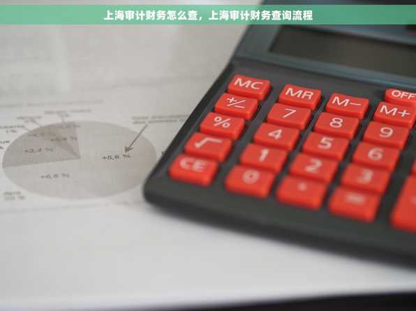 上海审计财务怎么查，上海审计财务查询流程