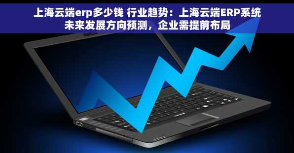 上海云端erp多少钱 行业趋势：上海云端ERP系统未来发展方向预测，企业需提前布局