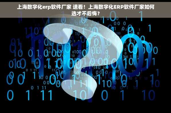 上海数字化erp软件厂家 速看！上海数字化ERP软件厂家如何选才不后悔？