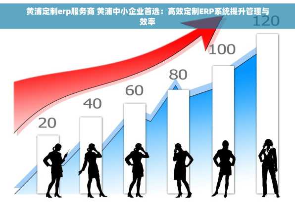 黄浦定制erp服务商 黄浦中小企业首选：高效定制ERP系统提升管理与效率
