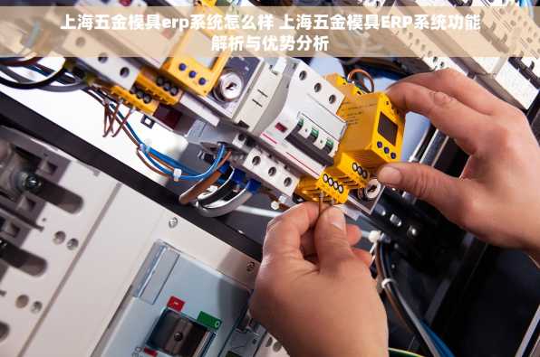 上海五金模具erp系统怎么样 上海五金模具ERP系统功能解析与优势分析